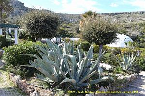 114- Thermes de  Kallithea